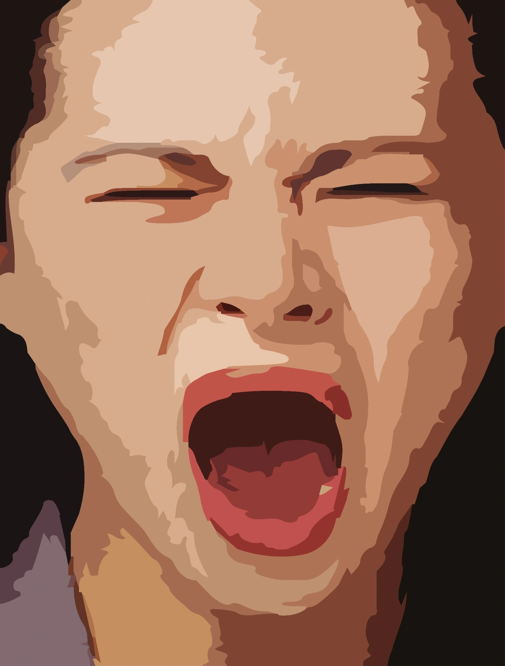 Příklady efektu Streisandové v praxi