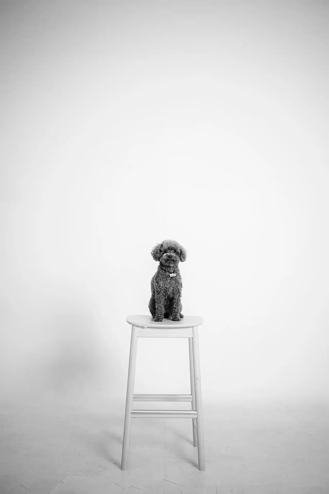 Proč jednoduché weby fungují lépe