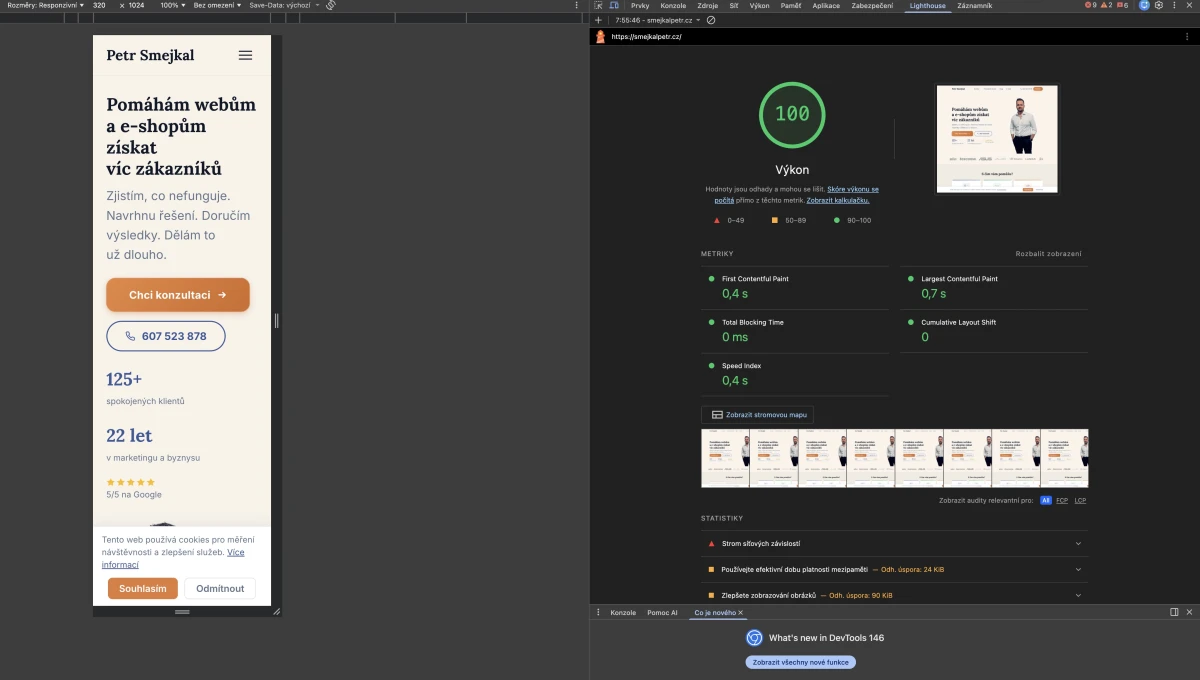 PageSpeed Insights — skóre výkonu webu smejkalpetr.cz